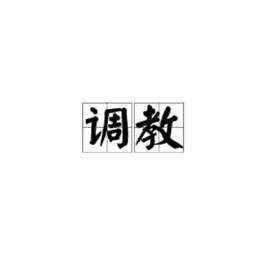 有格調意思|格調（漢語詞語）